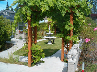 Arched courtyard trellis with grape vines.