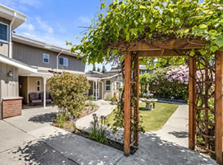 Courtyard Entrance with Grape Vines.