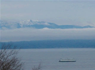 Ferry view from back deck.