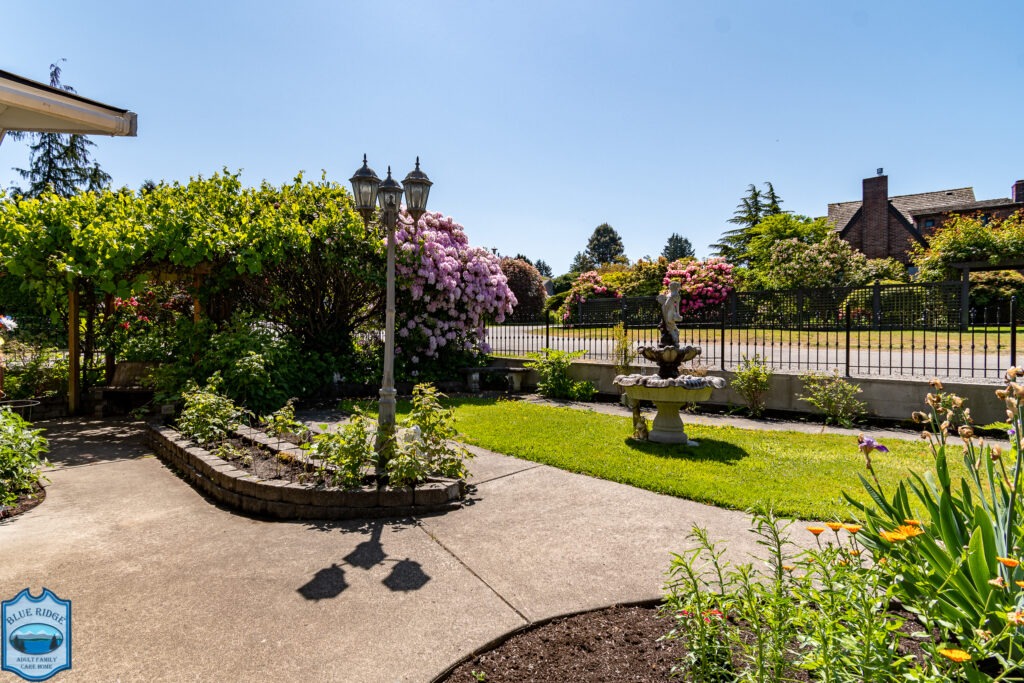 Blue Ridge AFH garden and walking paths